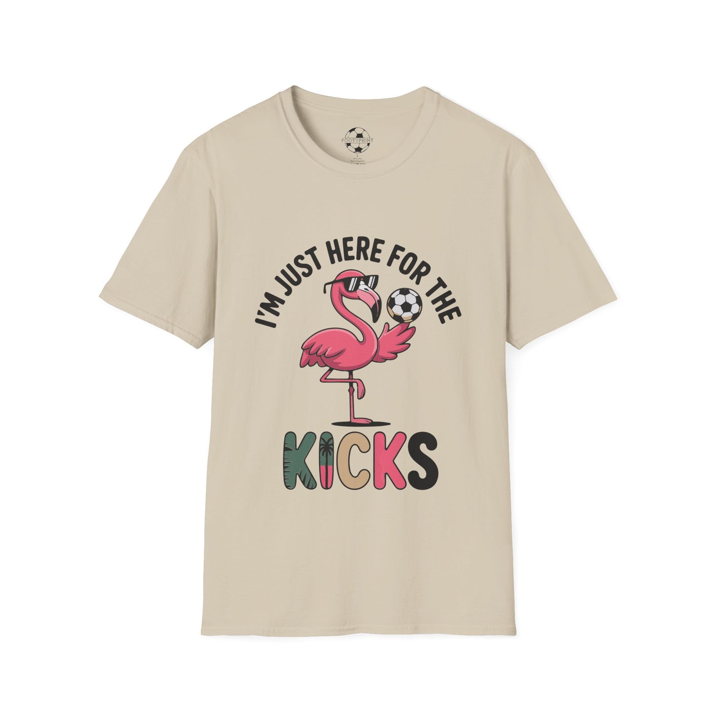 Flamingo Here For The Kicks