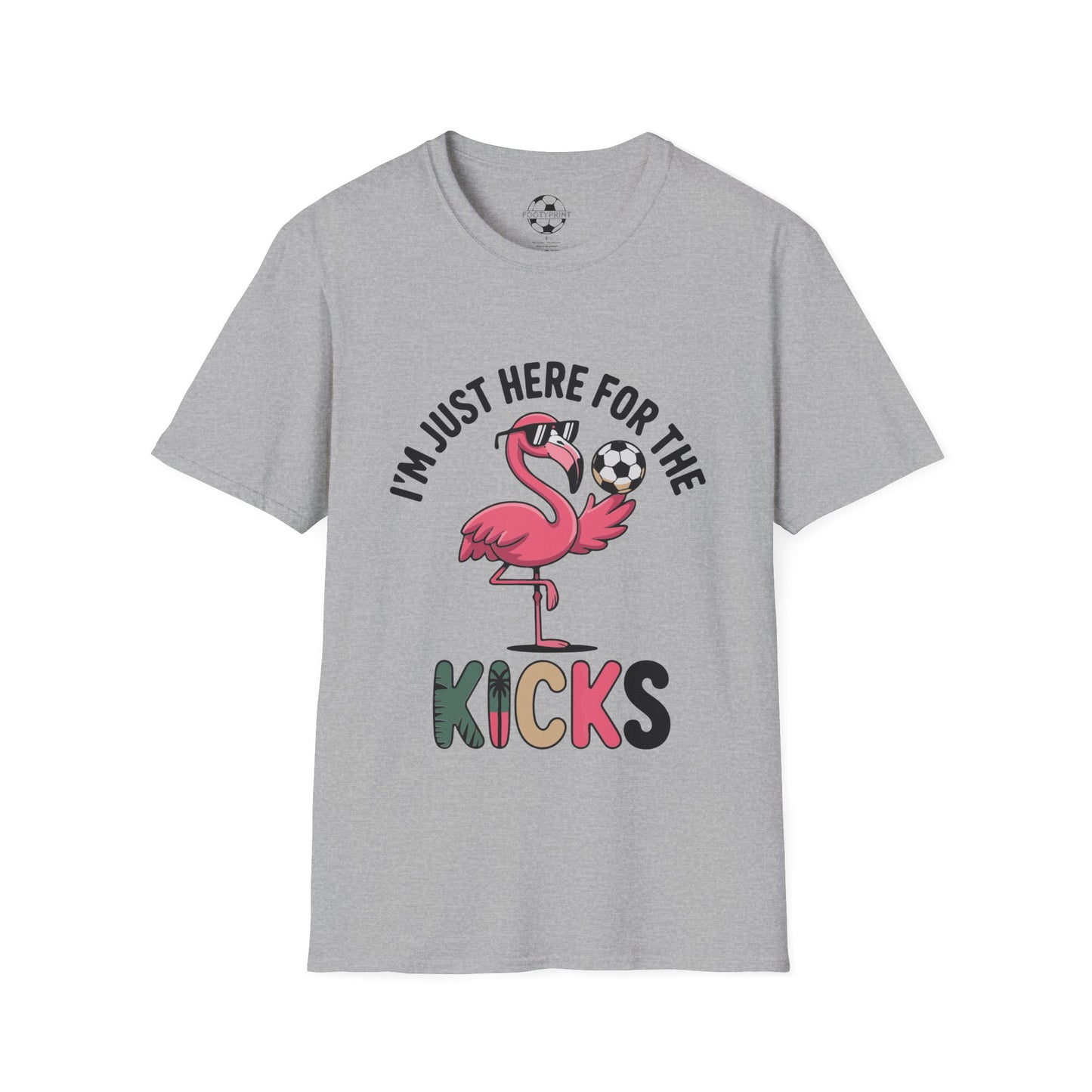 Flamingo Here For The Kicks
