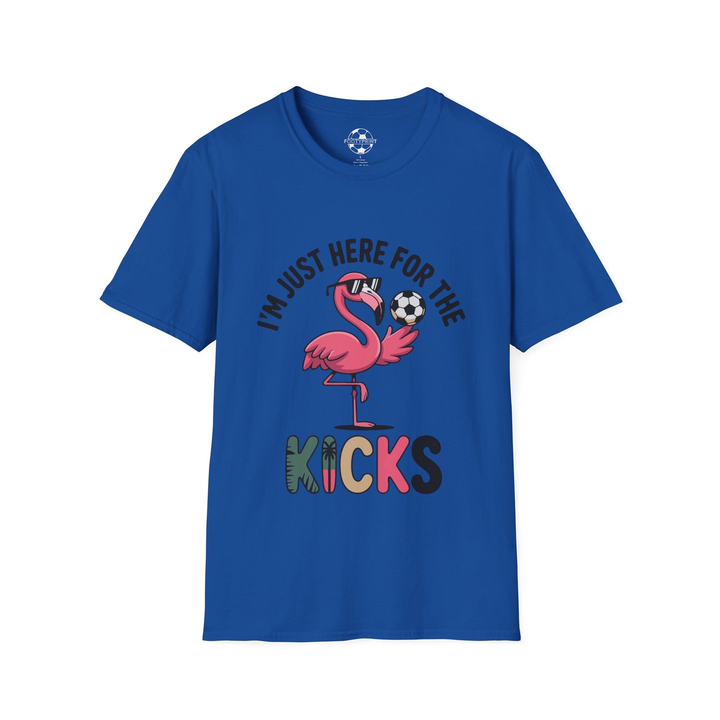 Flamingo Here For The Kicks