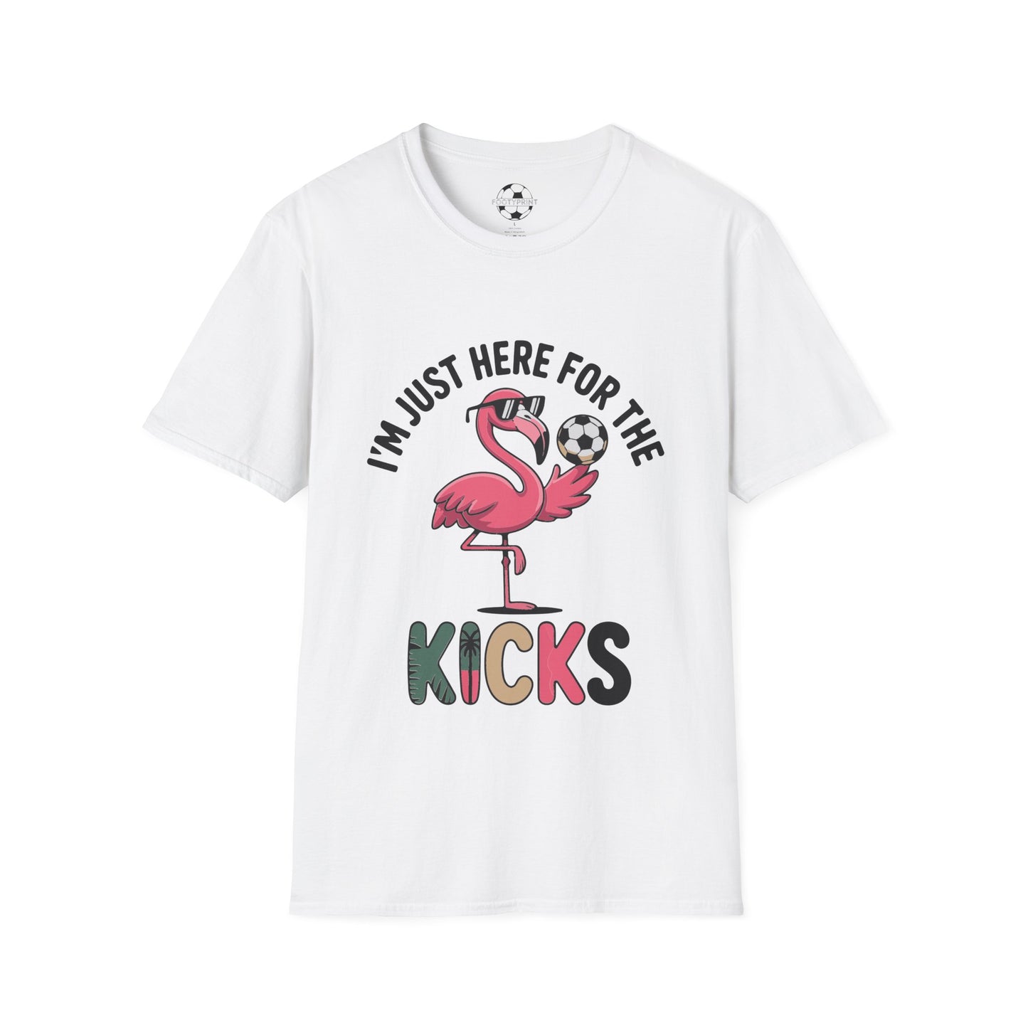 Flamingo Here For The Kicks