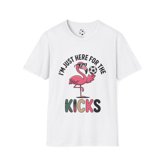 Flamingo Here For The Kicks